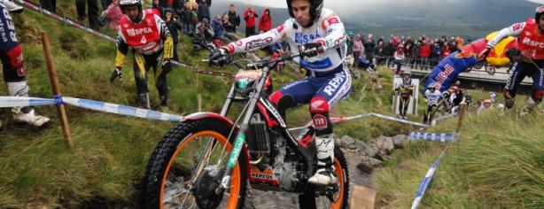 Toni Bou